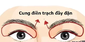 Cung Điền Trạch Trong Tử Vi