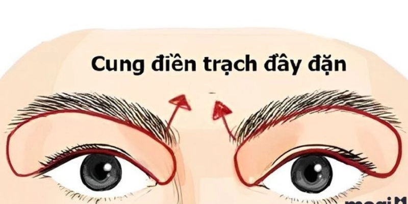 Cung Điền Trạch Trong Tử Vi