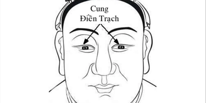 Cung Điền Trạch Trong Tử Vi