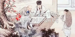Cung Huynh Đệ Tử Vi