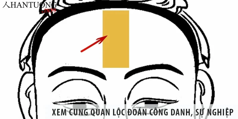 Cung Quan Lộc Lá Số Tử Vi