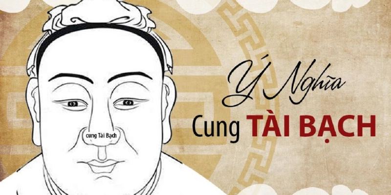 Cung Tài Bạch Trong Lá Số Tử Vi