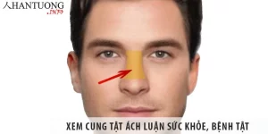 Cung Tật Ách Tử Vi