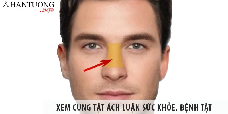 Cung Tật Ách Tử Vi
