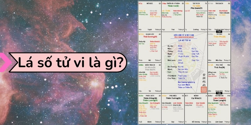 Giải Thích Các Cung Trong Lá Số Tử Vi: Ý Nghĩa, Ứng Dụng Và Lưu Ý 2025 2 Giải Thích Các Cung Trong Lá Số Tử Vi
