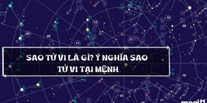 giai thich sao chu quan trong la so tu vi 3