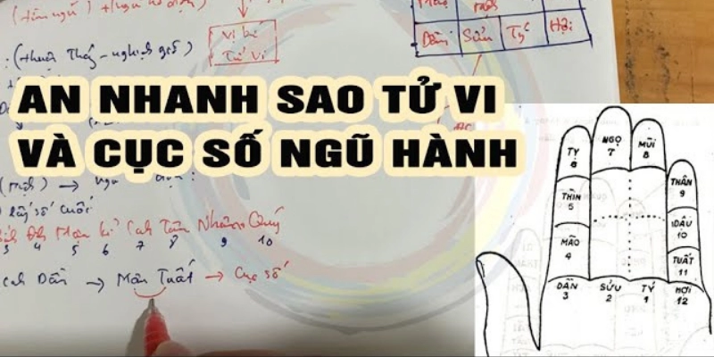Thuật Ngữ Cơ Bản Trong Tử Vi