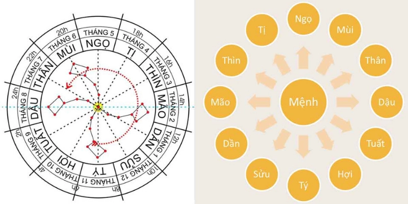 Xem Tử Vi Có Cần Chính Xác Giờ Sinh