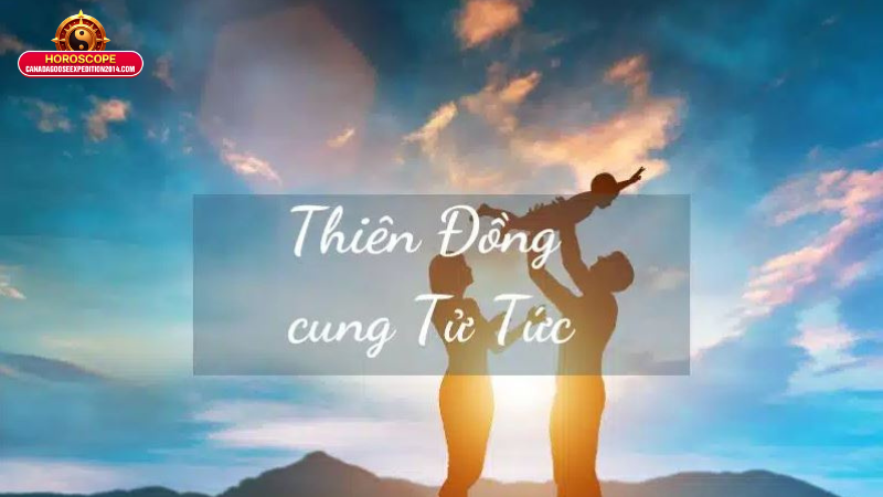 Sao Thiên Đồng - Giải Mã Ý Nghĩa Trong Lá Số Tử Vi 3 Ý Nghĩa Sao Thiên Đồng Ở Các Cung Trong Tử Vi