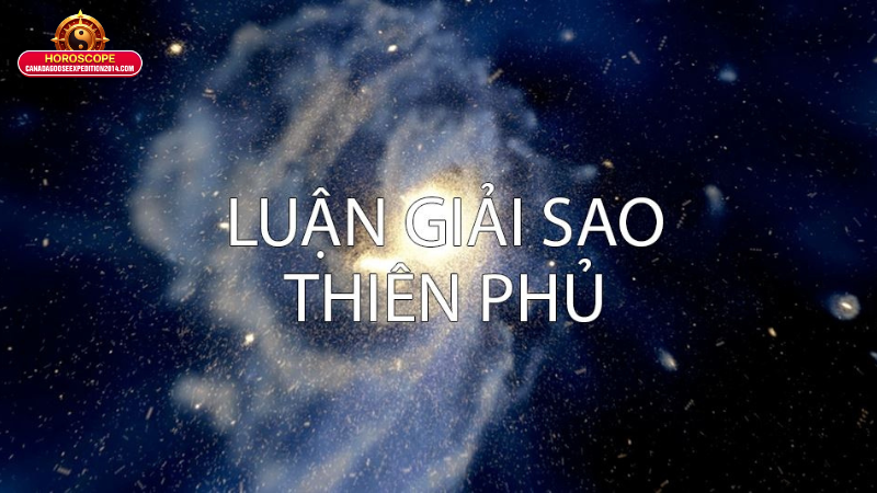 Sao Thiên Phủ - Giải Mã Ý Nghĩa Trong Lá Số Tử Vi 3 Vai trò của sao Thiên Phủ trong từng cung lá số tử vi