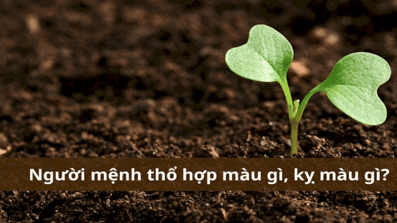Ảnh hưởng của cung mệnh Thổ trong cuộc sống, sự nghiệp, tình duyên