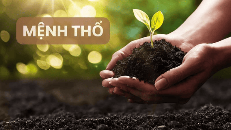 Cung mệnh Thổ trong tử vi là gì?
