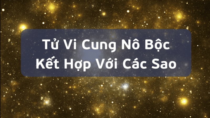 Luận giải ý nghĩa từng sao trong tử vi đóng cung nô bộc