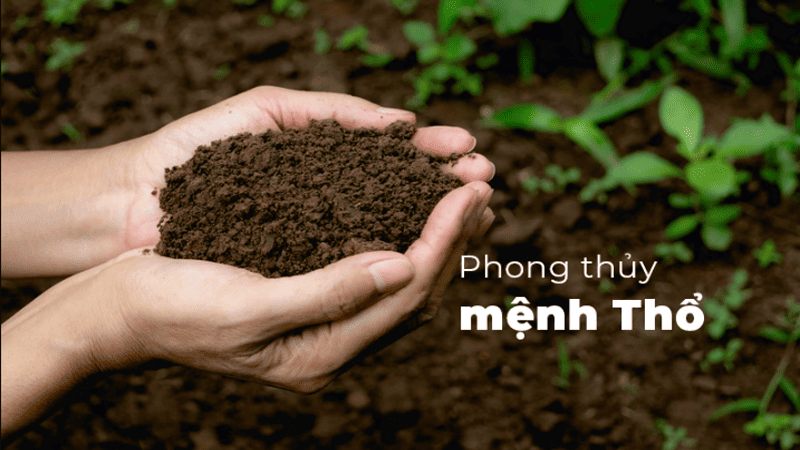 Mệnh Thổ hợp - kỵ với mệnh nào? 