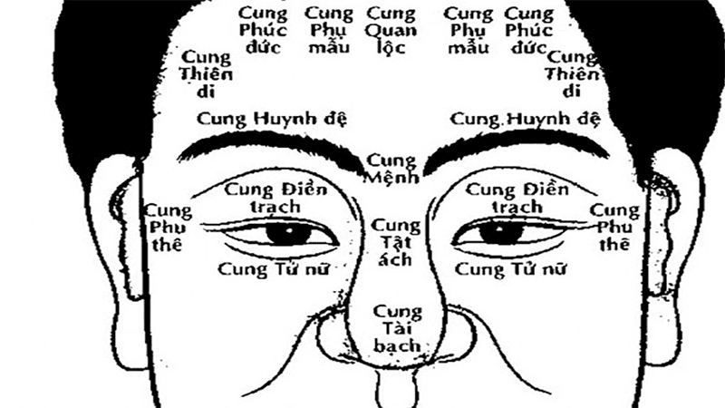 Phân loại các nhóm sao chính đóng cung điền trạch