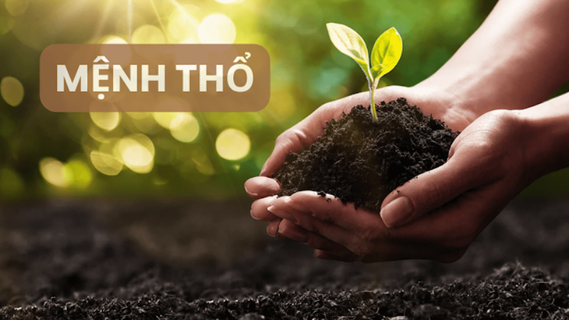 Ứng Dụng Ngũ Hành Cho Tên Và Biệt Danh Người Mệnh Thổ