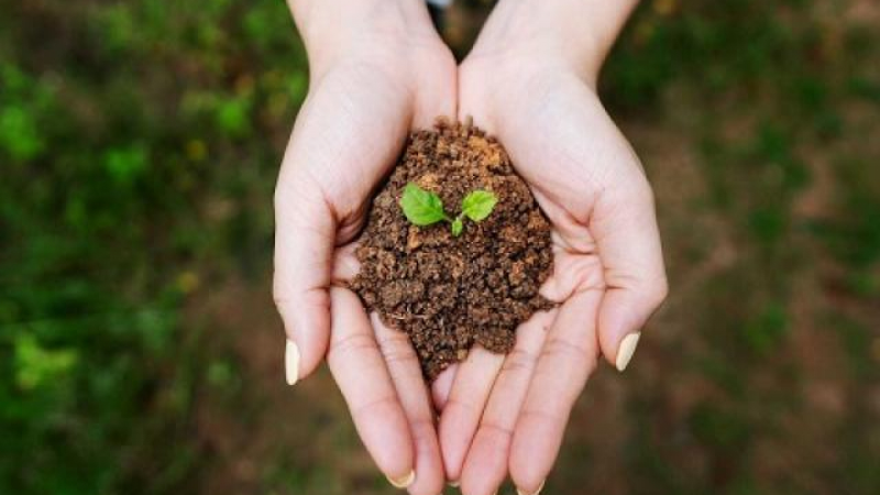 Yếu tố phong thủy cốt lõi cho người mệnh Thổ khi đầu tư bất động sản