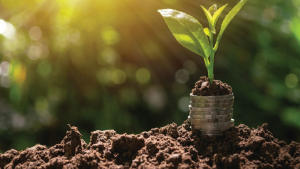 Kinh nghiệm ứng dụng màu sắc và vật phẩm phong thủy mệnh Thổ trong đời sống