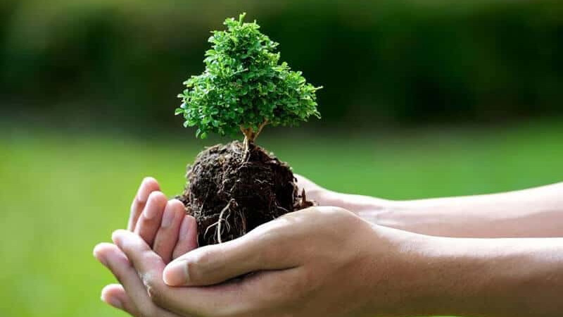 Mệnh Thổ Hợp - Kỵ Theo Góc Độ Tử Vi 4 Cách hóa giải xung khắc khi mệnh Thổ gặp mệnh kỵ