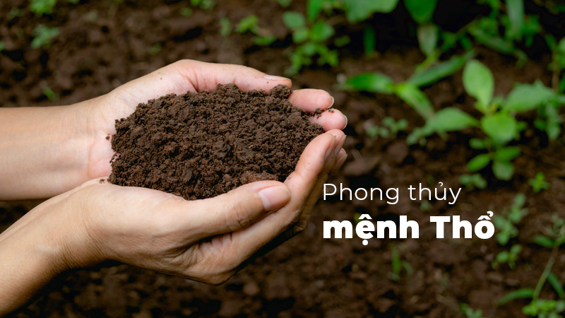 Mệnh Thổ Và Bí Quyết Đầu Tư Bất Động Sản 4 Những đại kỵ và sai lầm thường gặp khi đầu tư bất động sản cho người mệnh Thổ